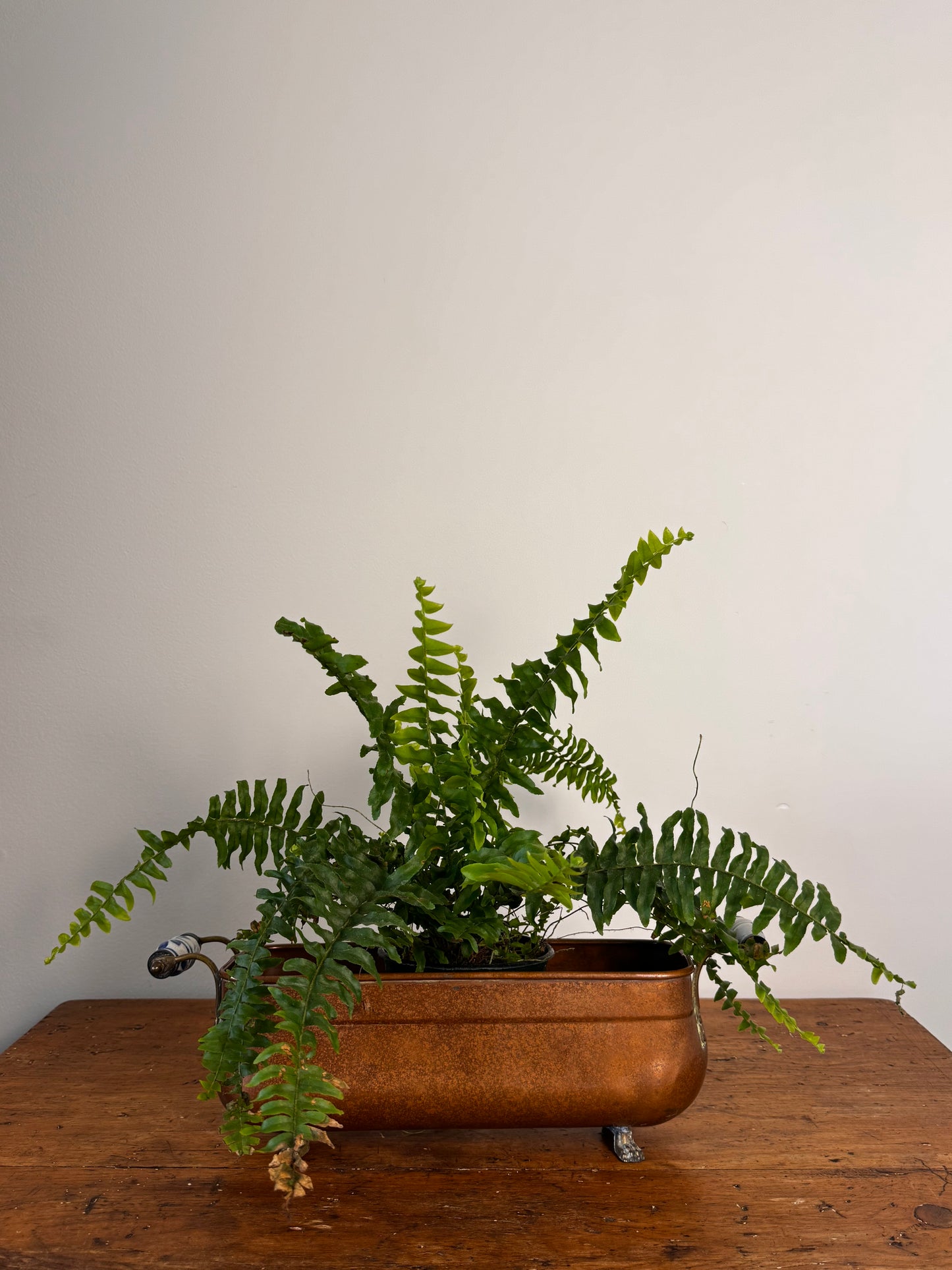 Rare Antique Copper Planter