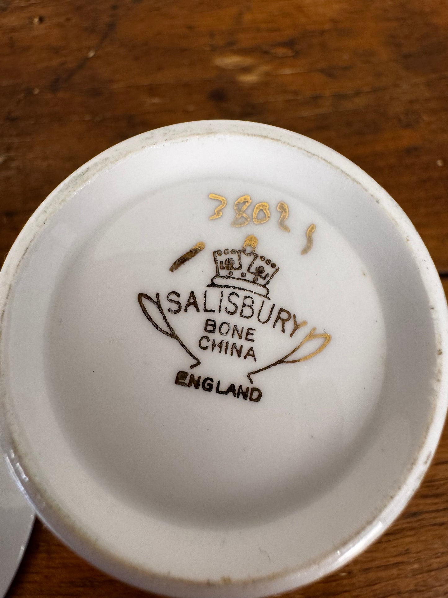 Vintage Salisbury Bone China Teacup & Saucer