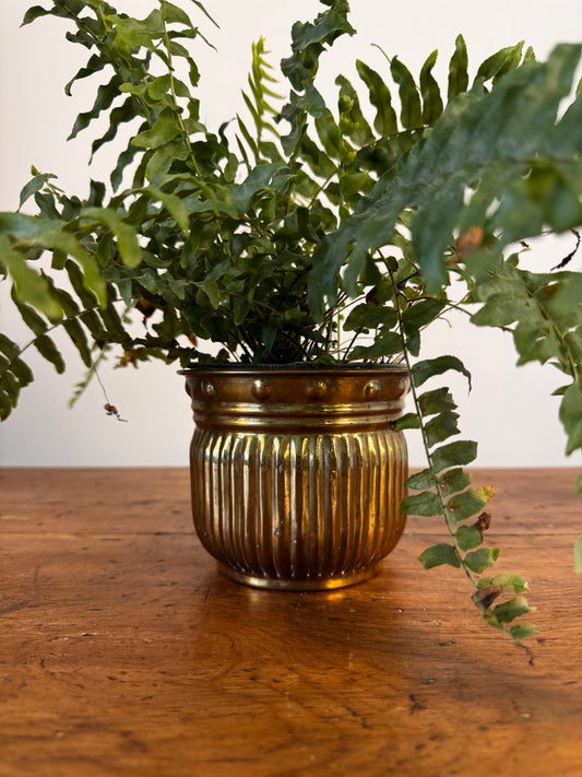Vintage Brass Planter Pot